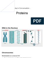 2 - Proteins