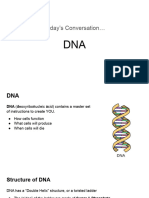 1 - DNA
