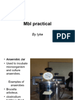 MBL Practical by Iyke