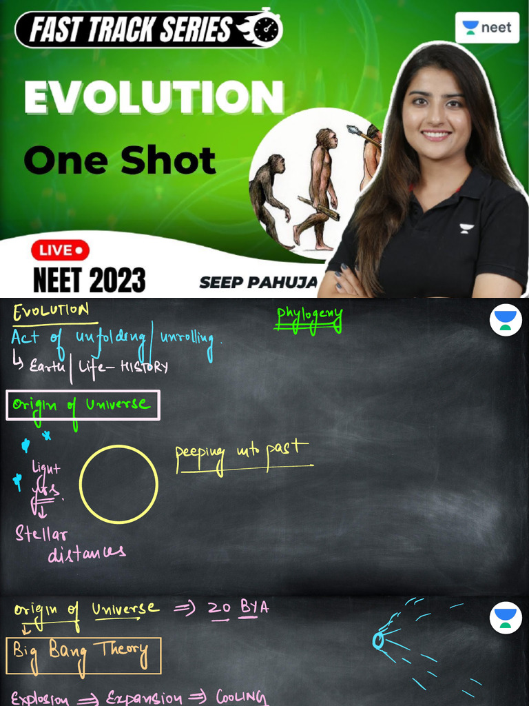 Evolution L1 | PDF