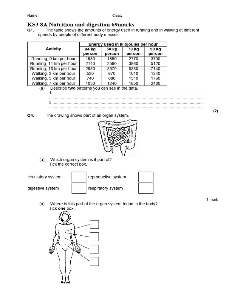 ks3_8a_eq_nutrition_and_digestion_69marks_15pgs_tbase | PDF | Digestion ...