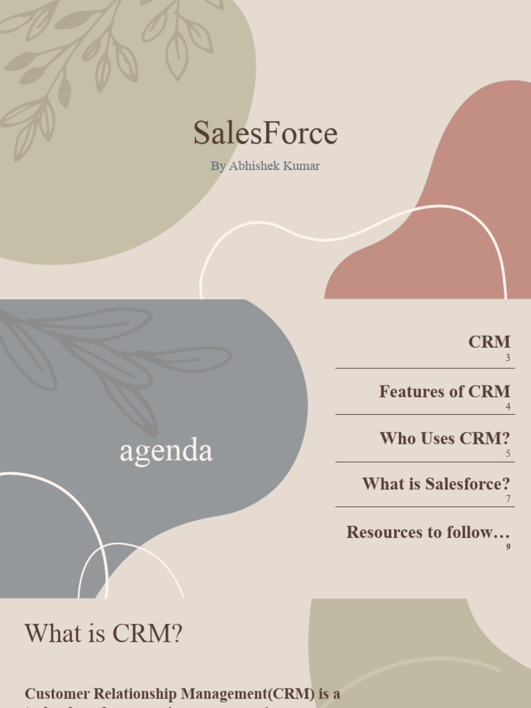 Sales Force | PDF
