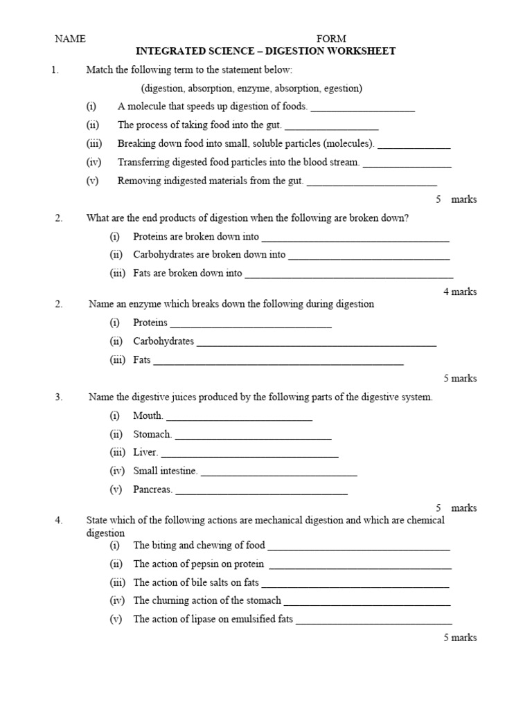 Digestion Worksheet PDF Digestion Organ (Anatomy)