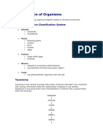 Classification of Organisms