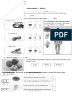 Evaluacion Marzo 5 Sentidos