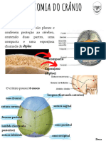 Incidência Do Crânio + Anatomia