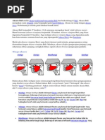 Kasusastraan Bali Anyar