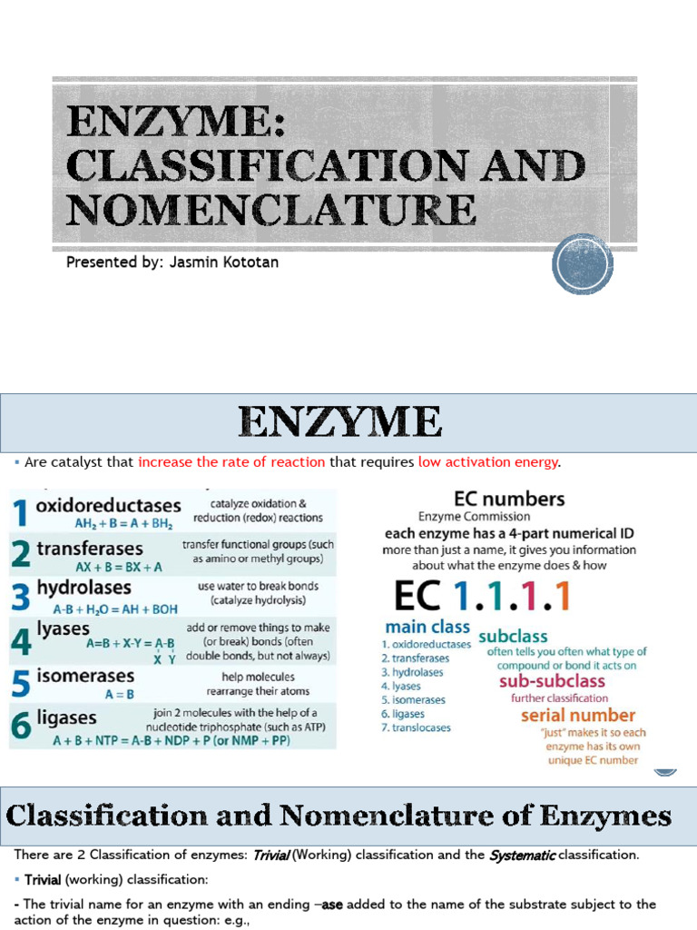 Enzyme Classification and Nomenclature (Jasmin) PDF Enzyme