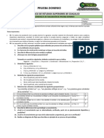 Prueba Dominio Fundamentos de Investigación 1P