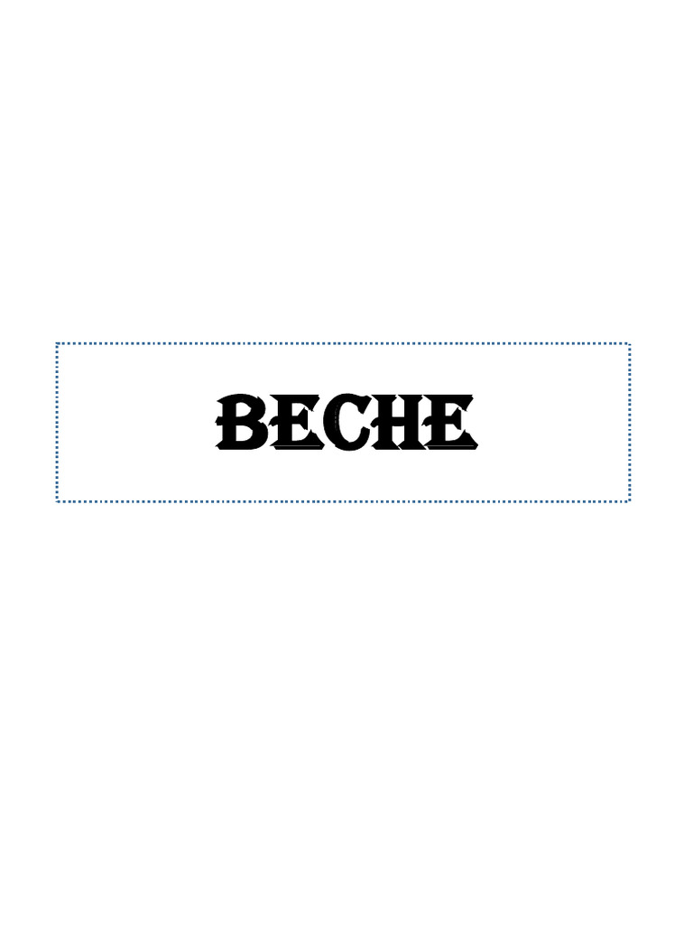 Intro Beche | PDF
