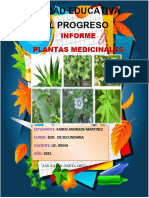 Informe Plantas Medicinales U.E. El Progreso