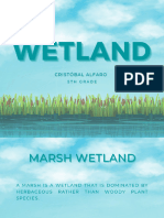 Presentación Wetland - Ingles