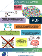 Uso de Drogas y Como Afectan El Cerebro