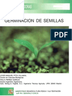 Germinación de Semillas