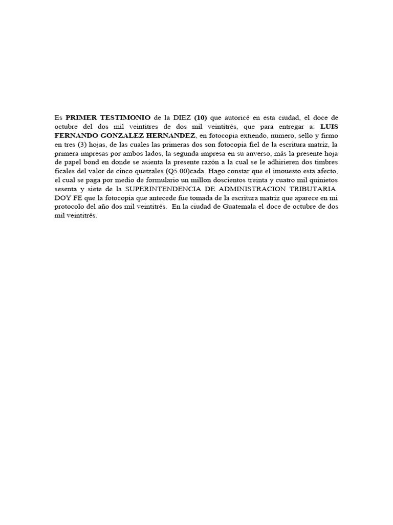Primer Testimonio PDF