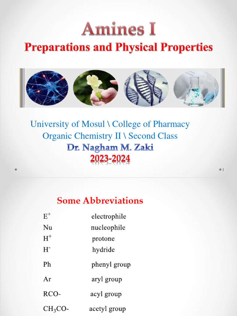 Amines I 2023 2024 PDF Amine Chemistry