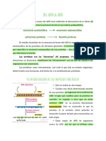 Icb 1 - Del Adn Al Arn