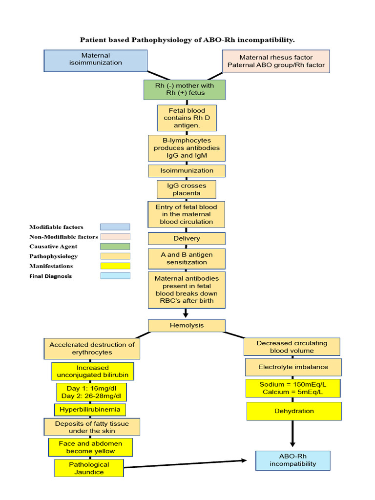 ABO-Rh Incompatibility Pathophysiology | PDF