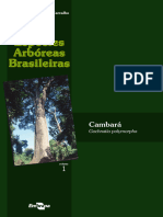Especies Arboreas Brasileiras Vol 1 Cambara