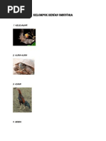 Download KELOMPOK HEWAN OMNIVORA by Susi Zaeyallen SN67871663 doc pdf