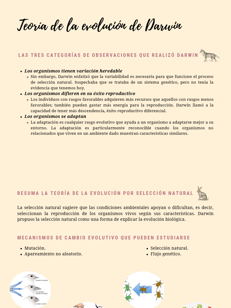 Selección Natural en la Evolución de Darwin | PDF