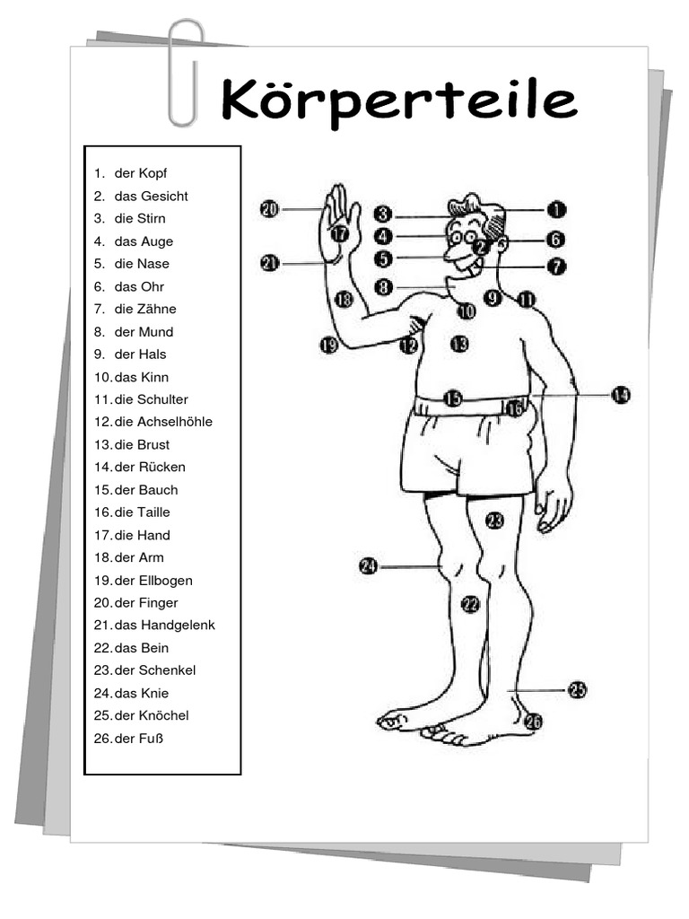 Die Körperteile | PDF