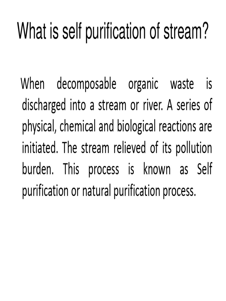Self Purification Processes in Streams | PDF | Water Purification | Sewage
