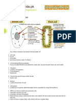 Biology Notes For O Level