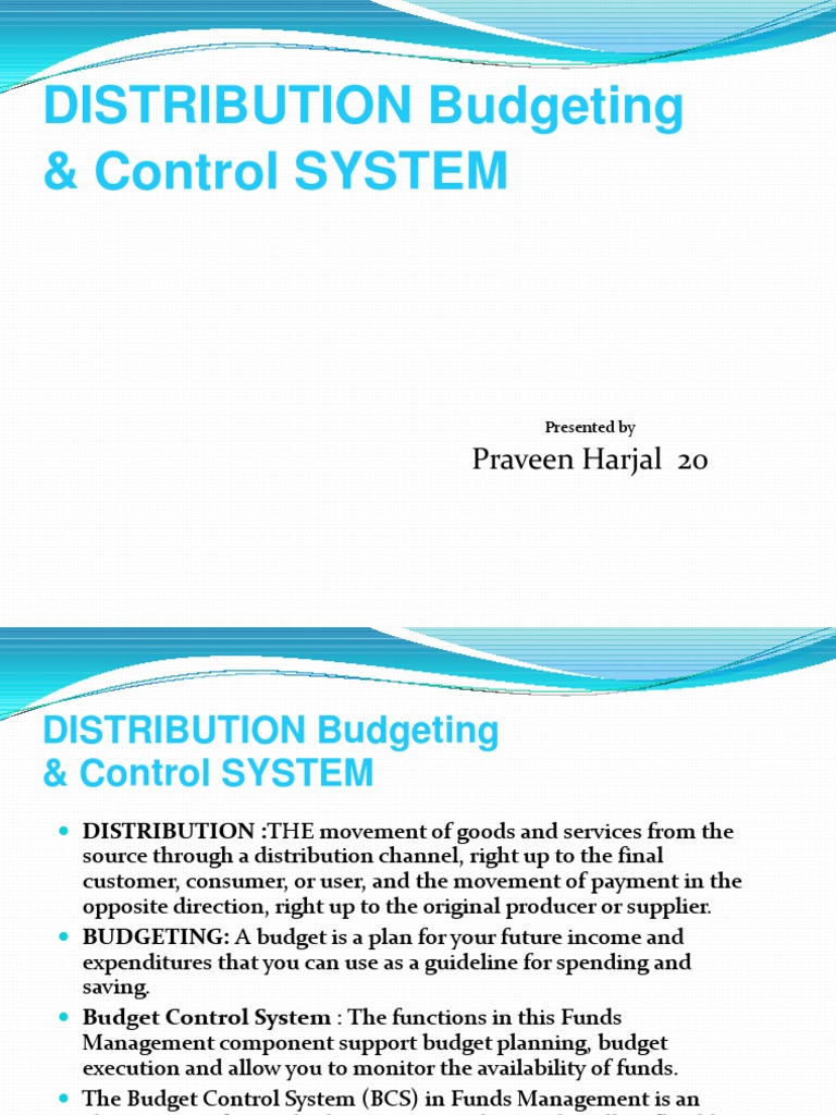 Distribution Budget 20 PDF Budget Sales