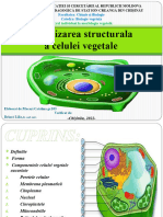 Macari Catalina SIG Morfologia Vegetala