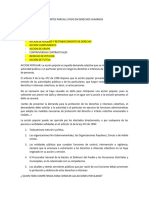 Apuntes Parcial Litigio en Derechos Humanos