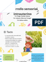 Dllo Sensorial Intreuterino