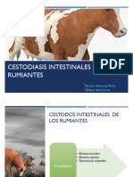 Platelmintos Parte 4 Cestodos de Los Herbivoros y Las Aves 2023