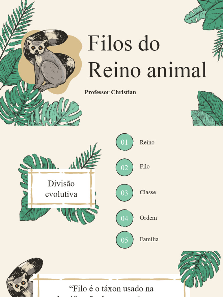 Zoologia I - Filos | PDF