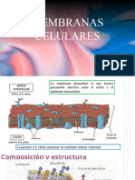 Membranas Celulares