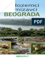 Vodic Vodozemci Gmizavci BG