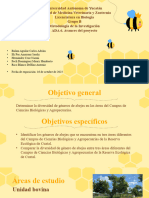 Plantilla para presentaciones de abejas.