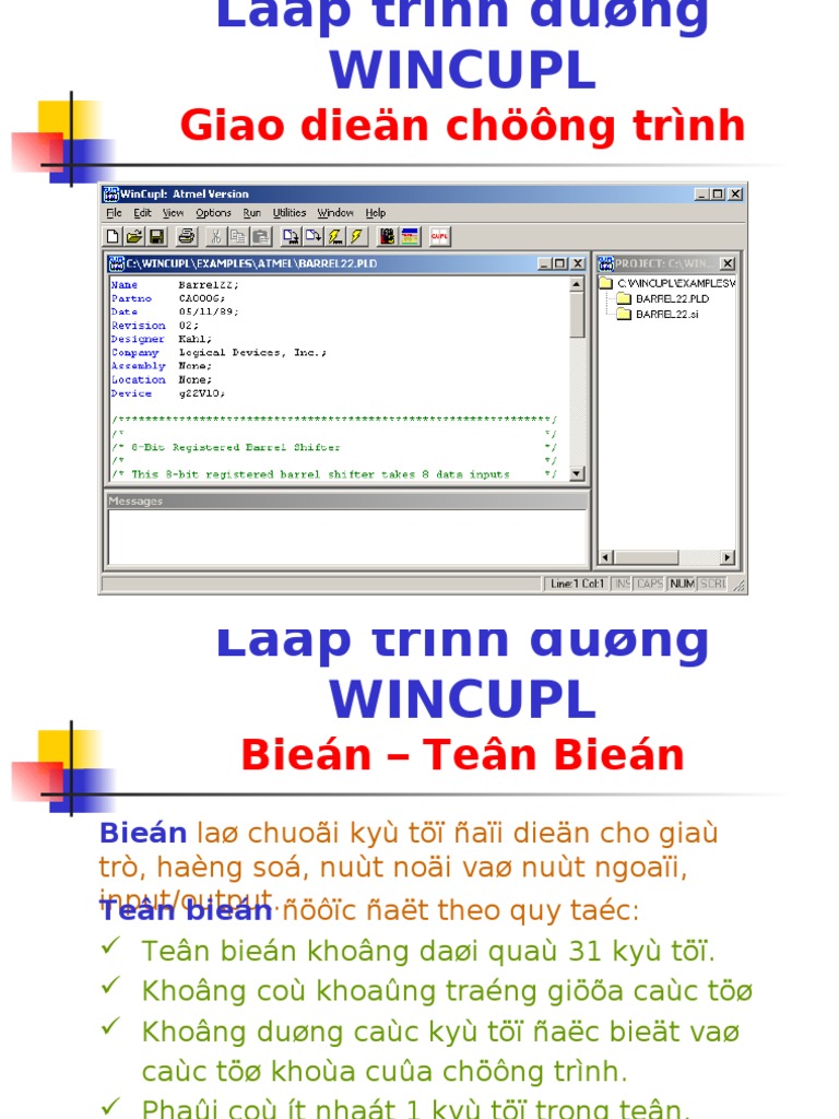 Lap Trinh Wincupl | PDF