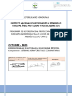 Informe Mensual Octubre 2023 Icf Ppat Saf.