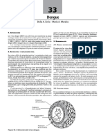 Dengue. Virología Medica. Oubiña-Carballal