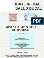 Abordaje Inicial de La Salud Bucal...