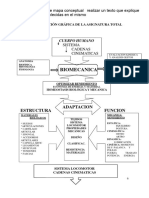 Actovidad 2 Mapa Conceptual de Biomecanica Texto