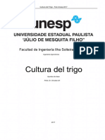 Cultura Do Trigo PDF
