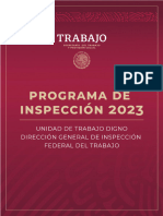 Programa de Inspeccio n 2023 Final