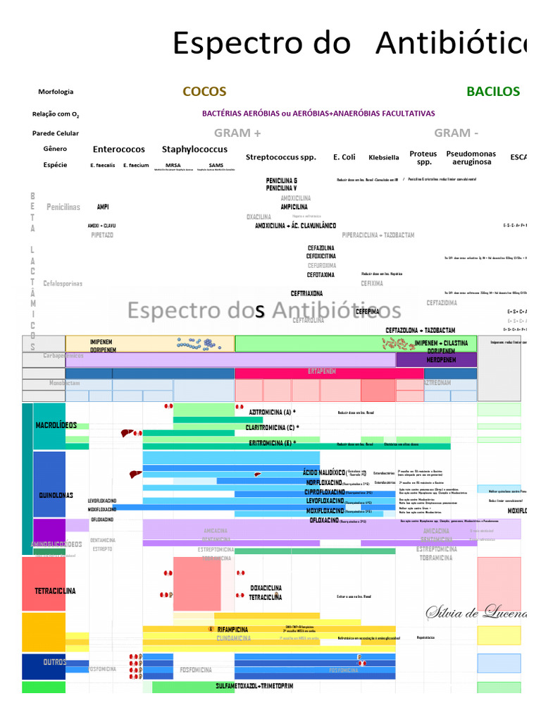 tabela-de-espectro-de-antibi-ticos-pdf-penicilina-drogas