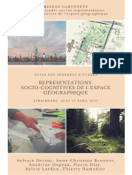 2018_Representations_sociocognitives_de_l_espace_geographique-Dernat_Bronner_Depeau_Dias_Lardon_Ramadier