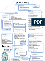 Mapa Conceptual Nucleo