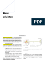 Neurofisiologia Com Aspectos Moleculares