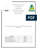 Plan de Cultivo de Espinaca (Spinacia Oleracea L.)