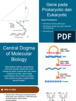 Procaryotics and Eucaryotics Gene